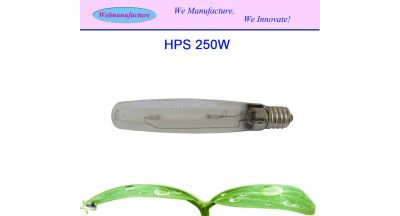 HPS250W